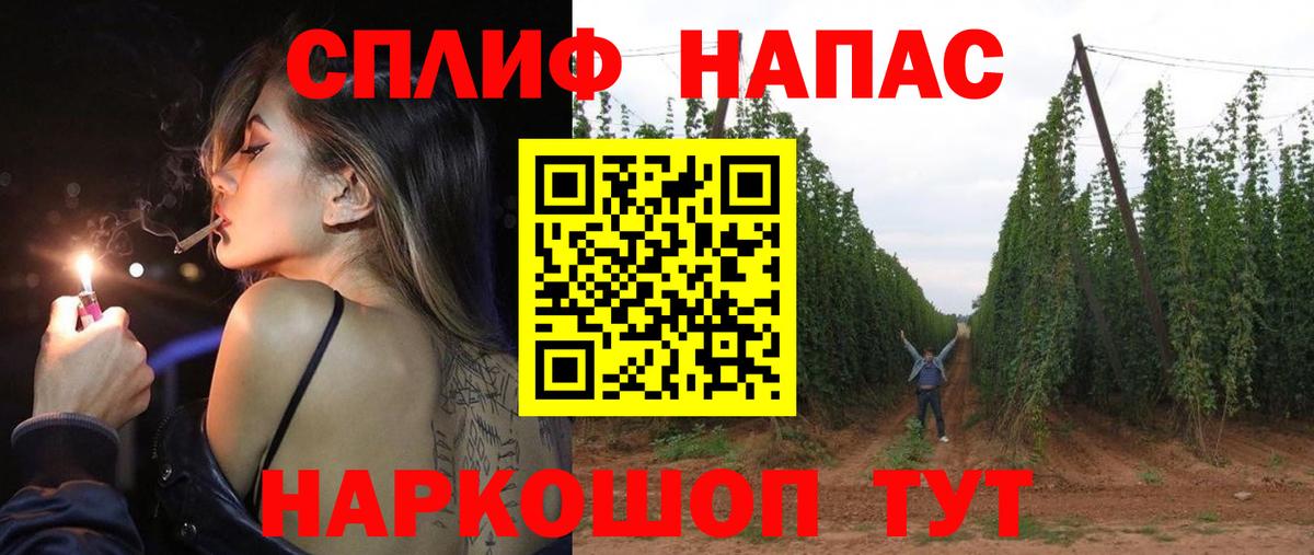 Кизилюрт  Марихуана сатива  Марихуана планчик  Вход с VPN  Каннабис White Widow 